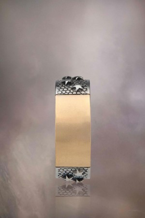Maison Margiela Star Ring Silver Gold | UK_MM39186